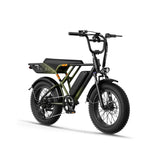 JASION RetroVolt Electric Bike - Motor 500W Battery 48V12.5AH 20 Inch Wheels Mechanical Disc Brakes - Green